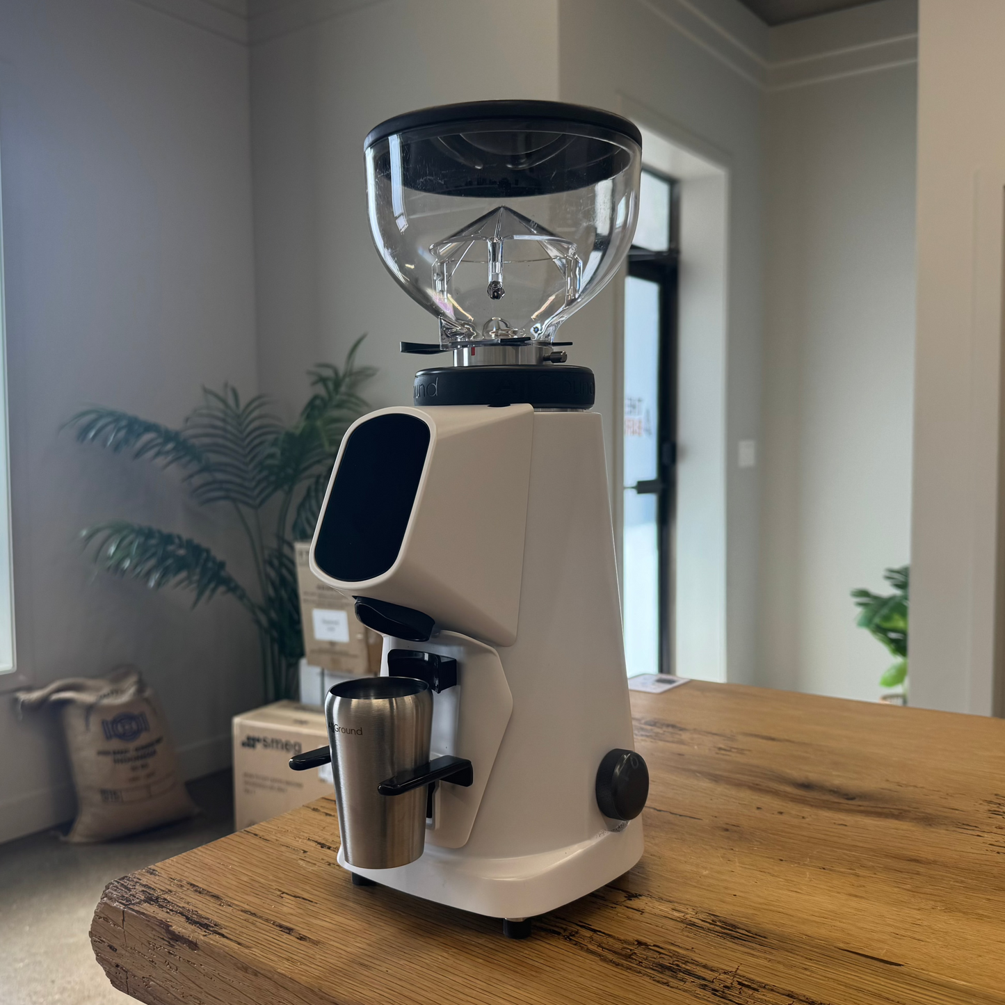 Fiorenzato AllGround Sense Coffee Grinder 120V Matte Artic White (Open Box 54220)