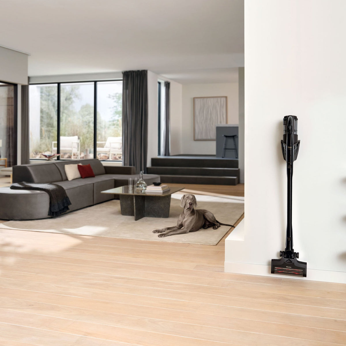 Miele Triflex HX3 Cat & Dog in obsidian black, mounted on its wall bracket in a living room with a dog