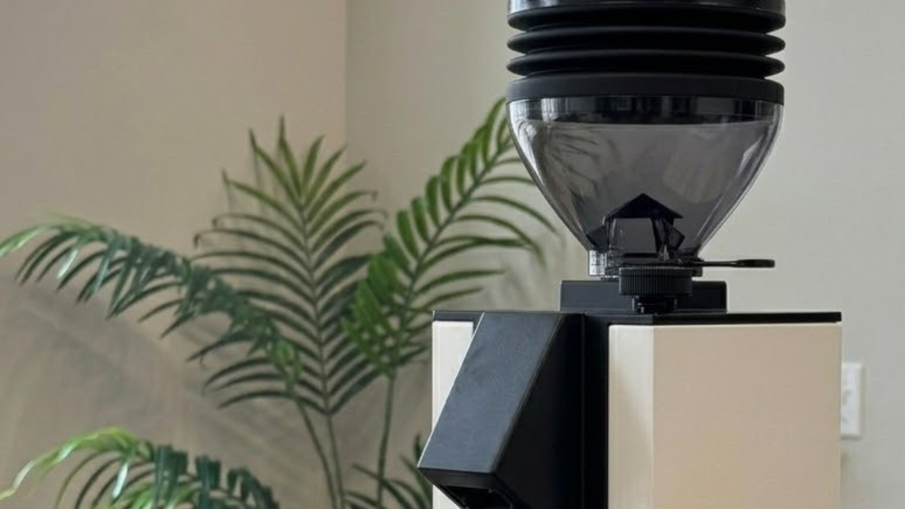 Eureka Mignon Zero 55S single-dose espresso grinder with 55mm flat burrs