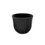 Loveramics Embossed Tasting Cup (150ml)