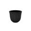 Loveramics Embossed Tasting Cup (250ml)