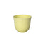 Loveramics Embossed Tasting Cup (250ml)