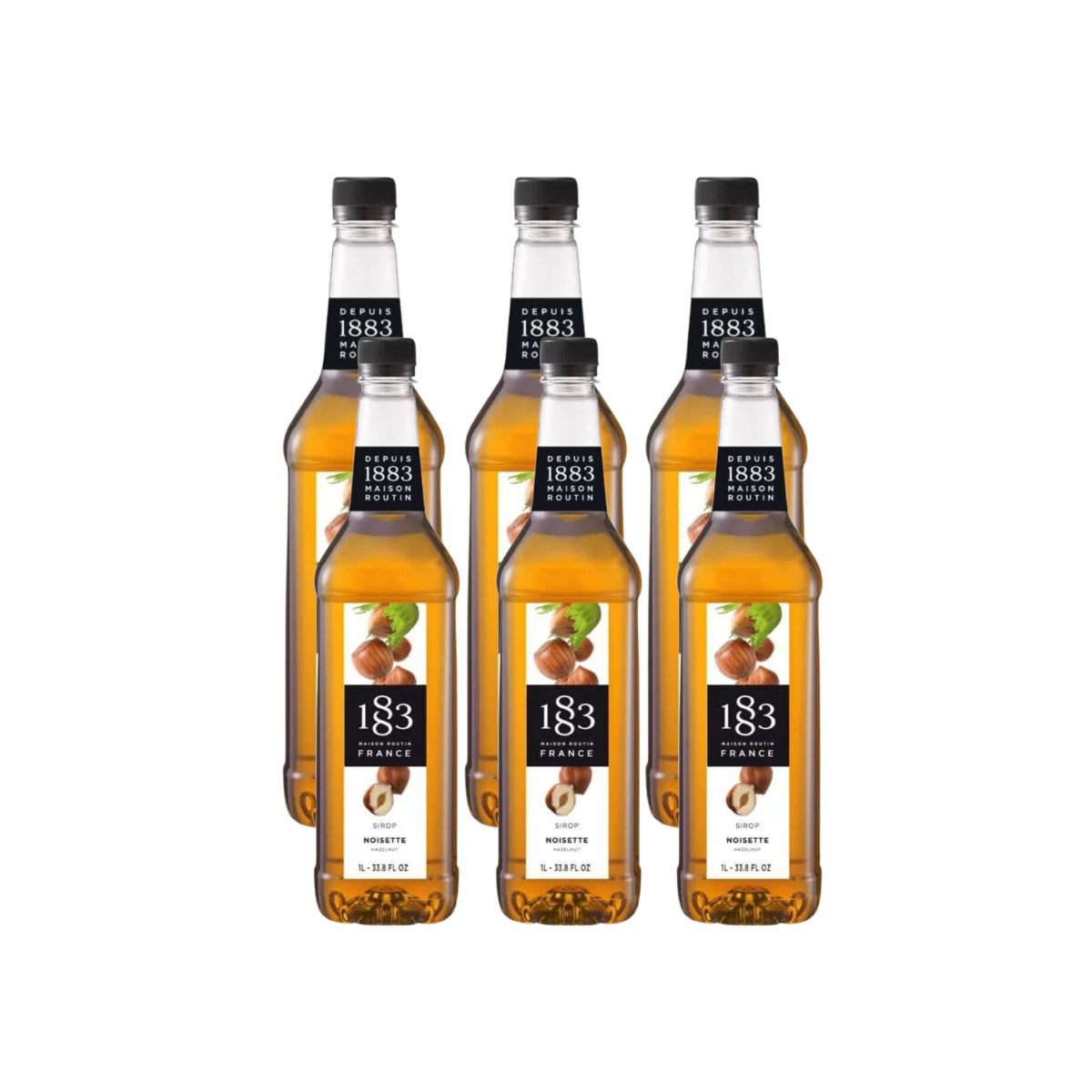 1883 Hazelnut Syrup (1L/33.8oz x 6 Bottles)