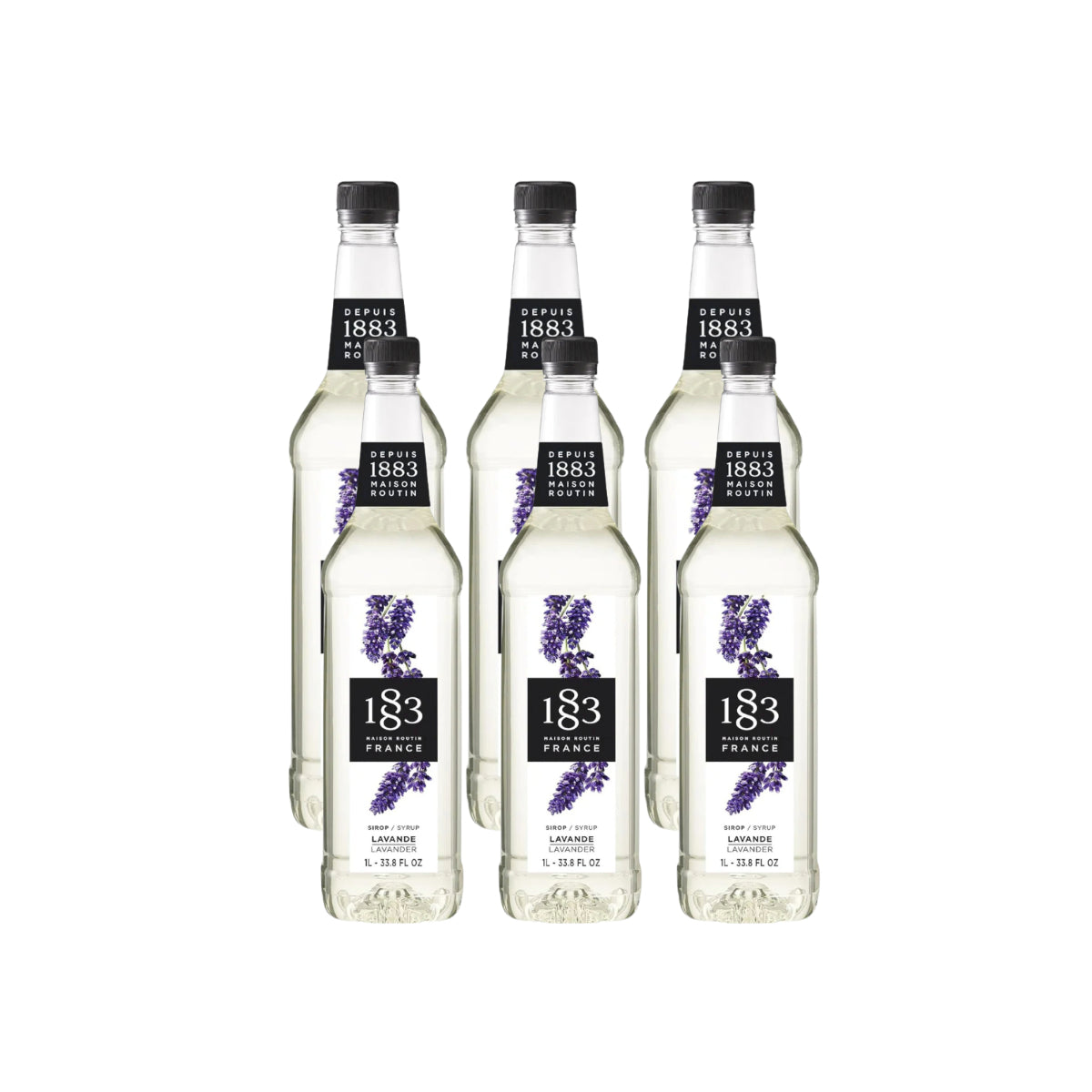 1883 Lavender Syrup (1L/33.8oz x 6 Bottles)