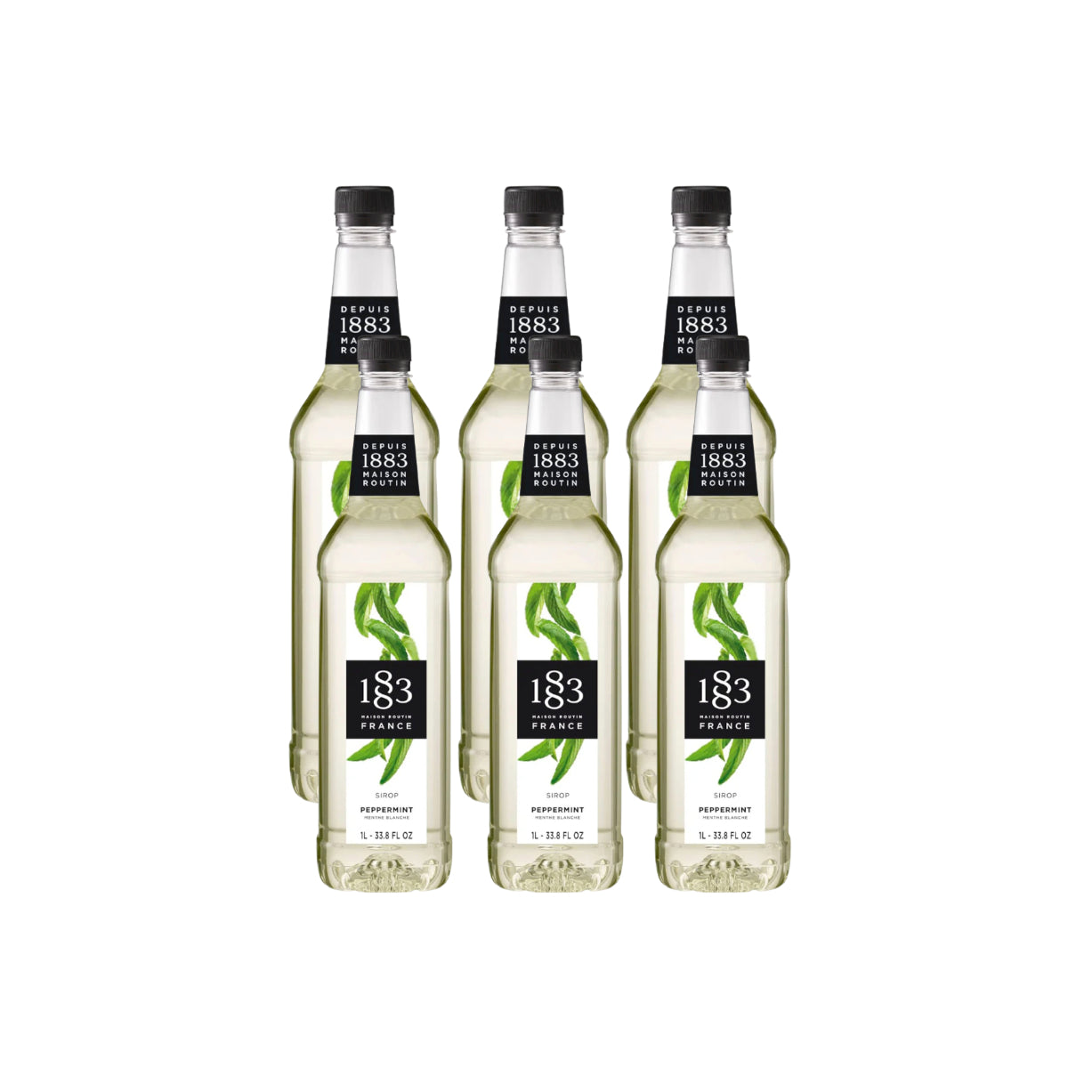 1883 Peppermint Syrup (1L/33.8oz x 6 Bottles)