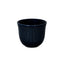 Loveramics Embossed Tasting Cup (150ml)