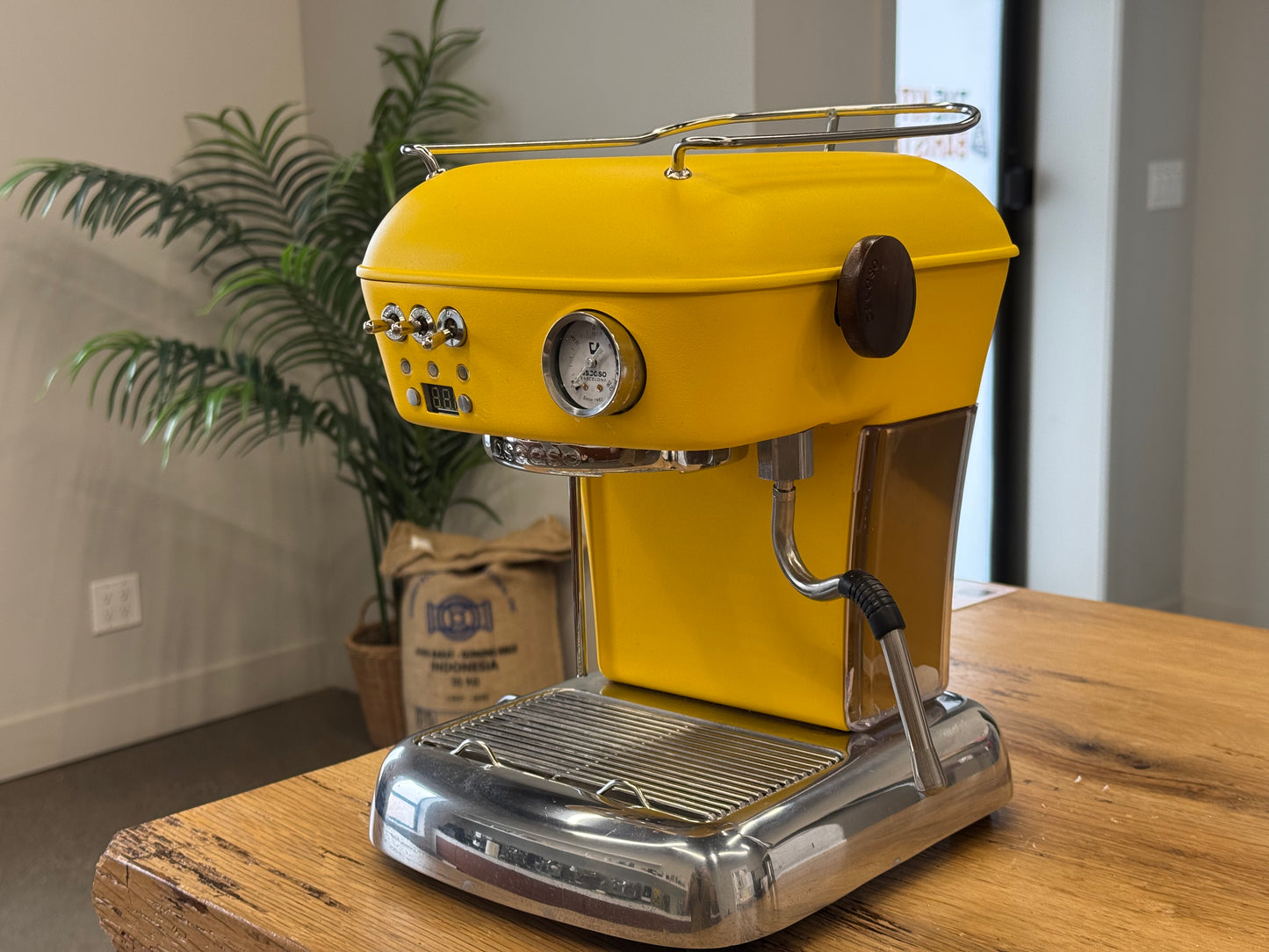 Ascaso Dream PID Espresso Machine ( Open Box #12 - Yellow)