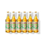 Six 750ml glass bottles of Monin Organic Agave Nectar in a row