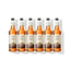 Six 750ml glass bottles of Monin Natural Zero Hazelnut syrup in a row