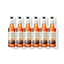 Six 750ml glass bottles of Monin Natural Zero Pumpkin Spice syrup in a row